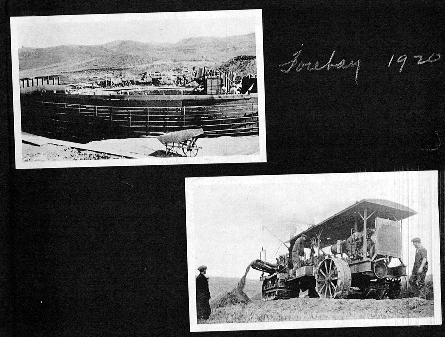 1920 archival photographs showing construction of the La Habra Heights redwood forebay tank and crawler trencher digging water mains