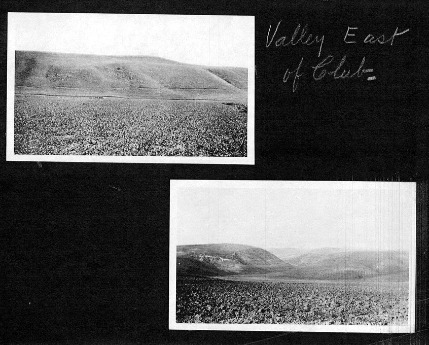 1920 archival photographs of the unplanted valleys of La Habra Heights east of Hacienda Country Club